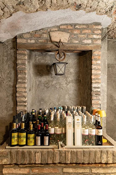 I vini di Casa Merlò